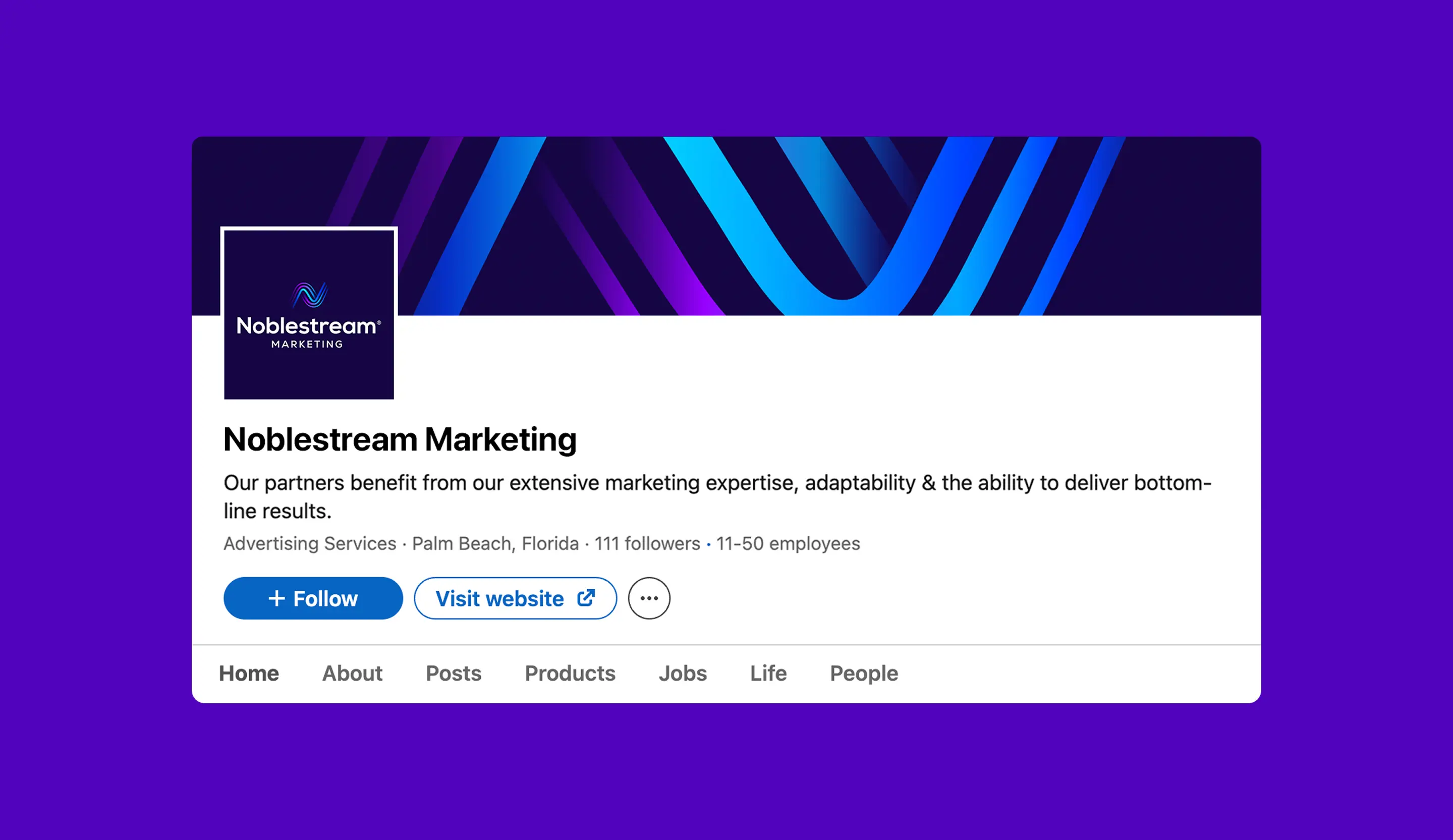 Noblestream LinkedIn mockup