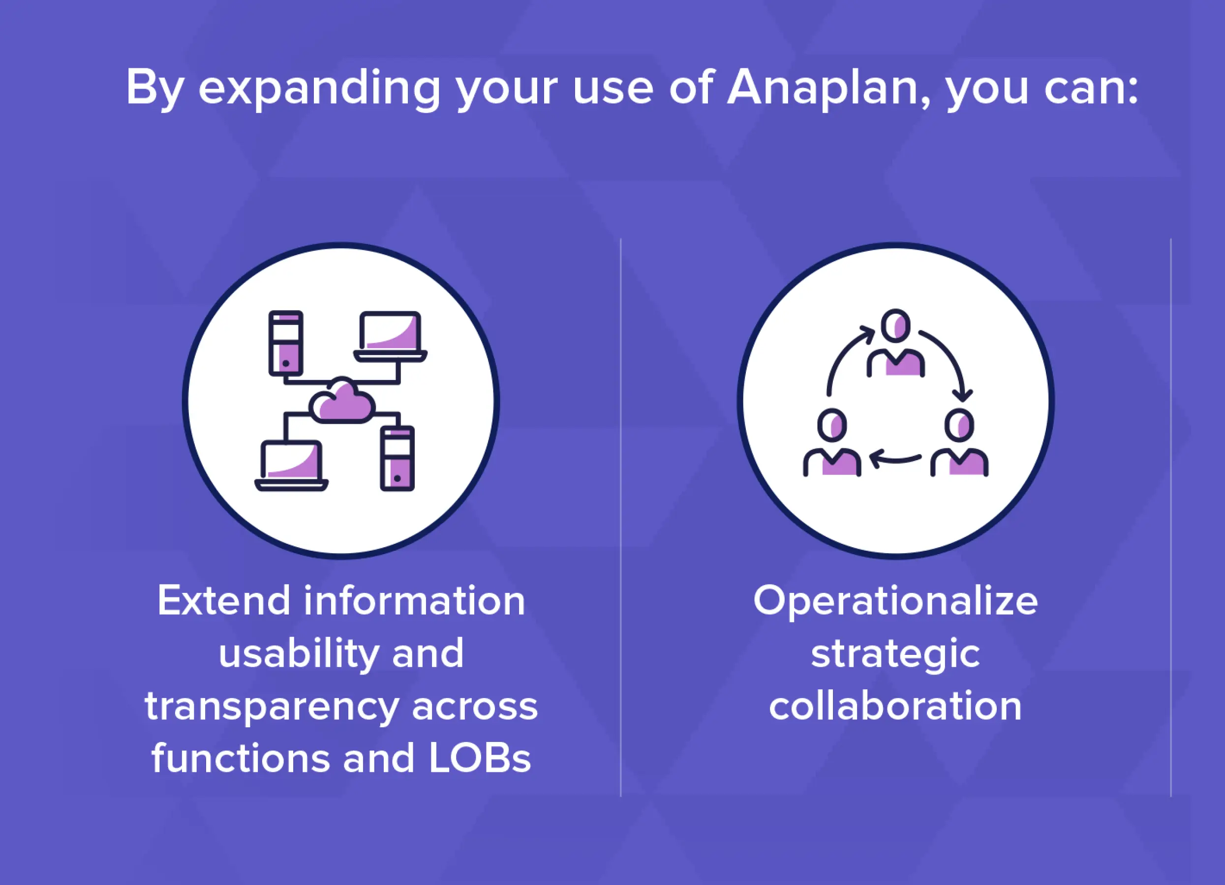 Anaplan infographic